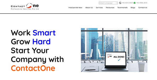 Contactone Professional Services 