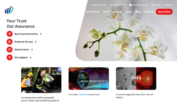 India International Insurance