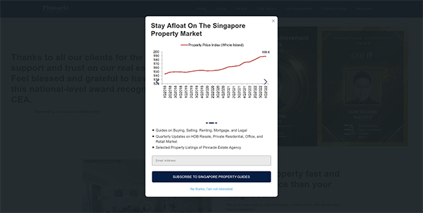 Pinnacle Estate Agency